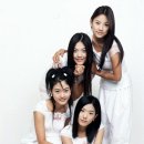 핑클 - 양주시 개나리9길 8 | 핑클