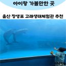 울산광역시남구도시관리공단(장생포고래생태체험관) | 울산 장생포 고래생태체험관 아이랑 가볼만한 곳