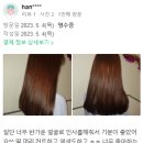 청춘헤어살롱 이미지