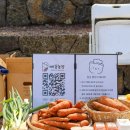 (주)하나레미콘 | 올바른농부장 참여 후기 빼꼼농장 제주 구좌 당근 들고 다녀왔어요