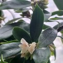 천리향한의원 이미지