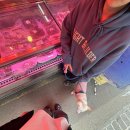 사러가정육점