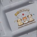 새롬동물병원 네이버블로그