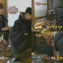 막내목장 이미지