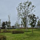 도도리저수지 이미지