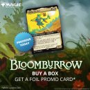 [킨들샵] BloomBurrow 선주문 안내 (~7월25일까지) (상품 정보 포함) 이미지