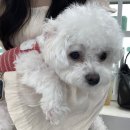 카페지롱 이미지