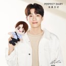 메이르나 이미지
