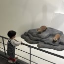 한라산천연보호구역 | 대전 한밭수목원 천연기념물센터 32개월 아이와 가볼만한 곳