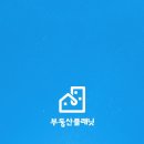 하나콩 이미지