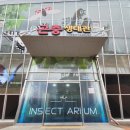 국립과천과학관 티스토리