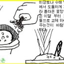 한국춘란의 가을, 2차 생장기의 기본관리/02 이미지