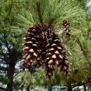 내몸사랑한의원 이미지