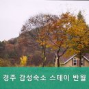 경주감성숙소 스테이 반월 이미지