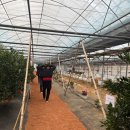 스마트농장 이미지