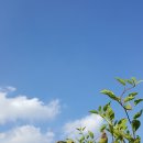 바른이김대식치과의원 이미지