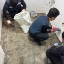 수영마대 네이버블로그