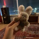 몽글멍글 | 오이도 가볼만한곳 안산 데이트코스 바다멍, 모루인형 만들기 체험