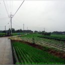 함창중앙초등학교 이미지