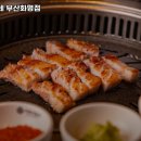 거북이동네 부산화명점
