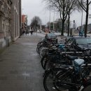 한글2010 이미지