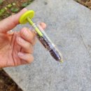 신상농장 2 이미지