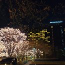 [호텔/리조트] 그랜드 하얏트 서울 프리미엄 남산 전망 후기