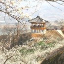 썸데이B 이미지