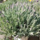 김찬형생활건강 이미지