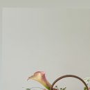 효효플라워 이미지