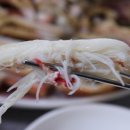 포항 죽도시장 맛집에서 만난 대게의 신세계, 영광회대게센타 후기