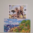 Bliss 강아지 유치원 | [육아일기] 13주 아기와 여기저기 다닌 기록 in NJ