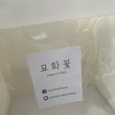 묘화꽃 이미지