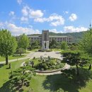 동국관광주