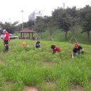 동산정비 이미지