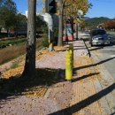 사림동버스정류소 이미지