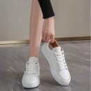 디자인베이직