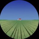 옵틱스안경 | [옵틱스안경콘택트 성대시장점] 검정뿔테를 장만해 보았다.| 상도동안경