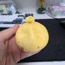 호랑PC | [임신 일기] 2차 기형아 검사, 카니발무드 젠더리빌, 대전 성심당 임산부 프리패스 (16주차-18주차)