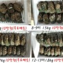 노화수산 이미지