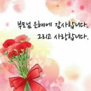 "부모를 거역하는 행위는 살인, 간음, 도적질보다 그 죄질이 더 무겁다!" ☜ 성령님의 경고 이미지