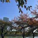 김병결 | ⊹ ࣪ ˖ ౨ৎ 11월 한달일기 ౨ৎ ‧₊˚