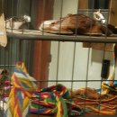 청강한의원 이미지