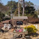 온누리농장 | 애견동반카페 아벤티노의 농장 방문 후기(온누리, 상생카드)