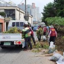 남중동-43 이미지