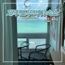 제주도 뚜벅이 숙소 3곳 추천 내돈내산 애월 오션뷰 가성비 숙소