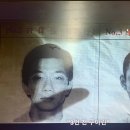푸돼지