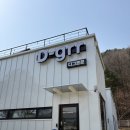 가평애견운동장, 서울 근교 대성리에 위치한 디그르르 카페(내돈내산/입장료/주차)