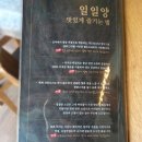 일일양 석촌호수점 양고기 맛집