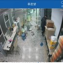 푸르넷신일